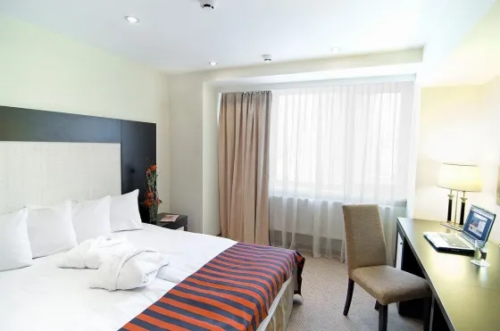 فضای اتاق های هتل سانفلاور پارک مسکو  74021