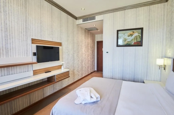 تصویر 61632 فضای اتاق های هتل بولوارد ساید باکو 