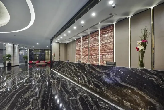 لابی هتل باس سنگاپور 68393