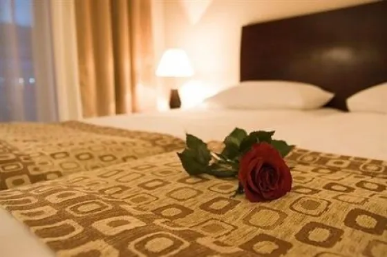 تصویر 3140 فضای اتاق های هتل کرون باکو