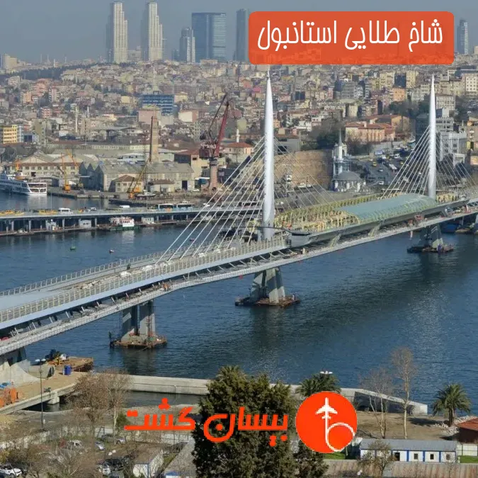 شاخ طلایی استانبول