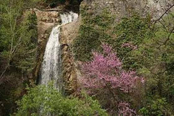 تصویر 75243 باغ ملی گیاهشناسی گرجستان