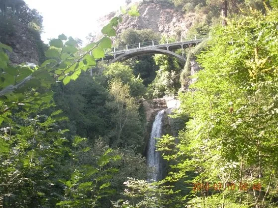 تصویر 75242 باغ ملی گیاهشناسی گرجستان