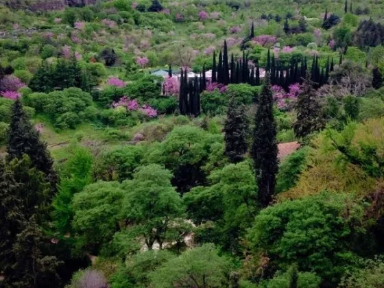 تصویر 75240 باغ ملی گیاهشناسی گرجستان
