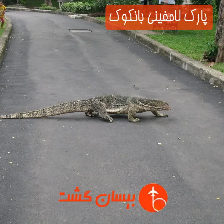 پارک لامفینی بانکوک