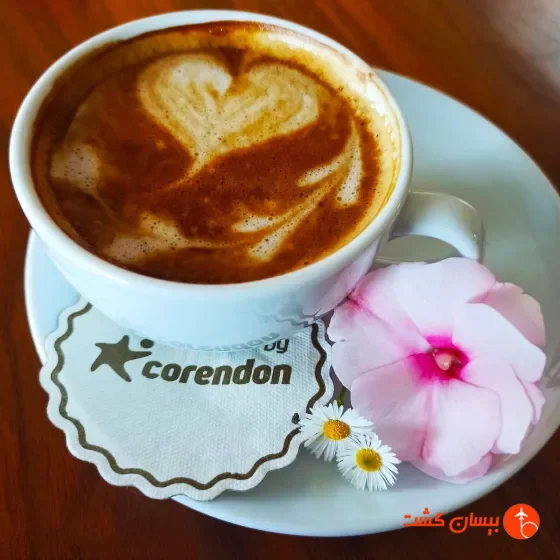 فضای رستورانی و صبحانه هتل گرند پارک لارا آنتالیا - تصویر 40