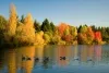 فضای بیرونی هتل تایتانیک دلوکس گلف بلک آنتالیا 94145 100