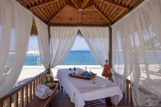 سونا و اسپا هتل پاین بی هالیدی ریزورت کوش آداسی 94799