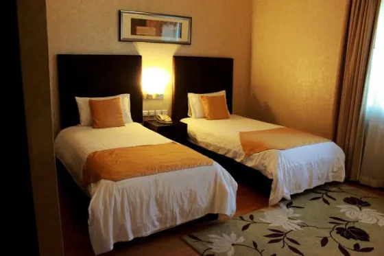 فضای اتاق های هتل آپارتمان تولیپ دبی کریک 196891