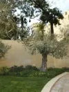 فضای بیرونی هتل فور سیزن باکو 4450 100