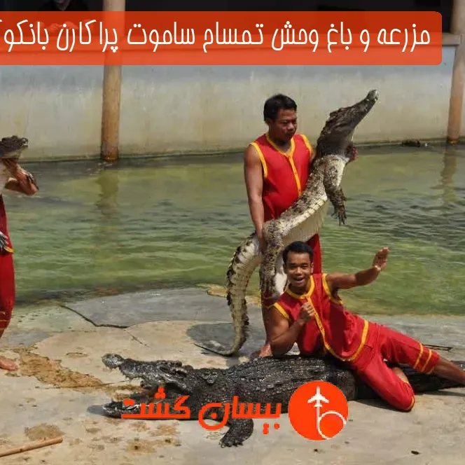 مزرعه و باغ وحش تمساح ساموت پراکارن بانکوک