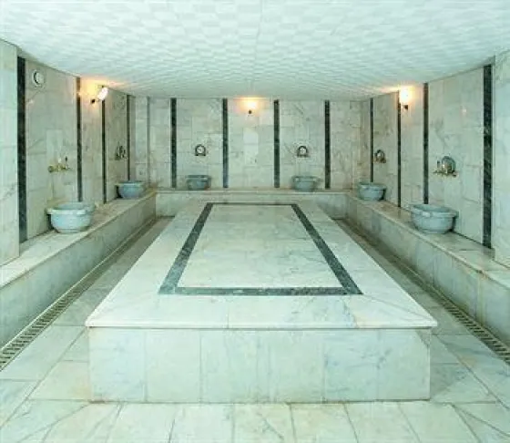 سونا و اسپا هتل پتونیا بیچ ریزورت بدروم 78611