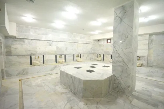 تصویر 80227 سونا و اسپا هتل دیمت پارک وان 