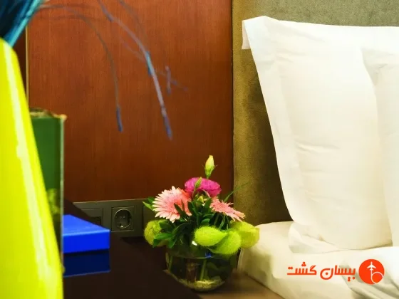 فضای اتاق های هتل بلو وی هیستوریکال استانبول - تصویر 11