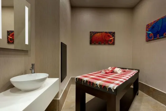 سونا و اسپا هتل تریپ بای ویندهام استانبول 81462