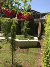 فضای بیرونی هتل مانور باکو 82028 100