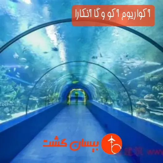 آکواریوم آکو وگا آنکارا