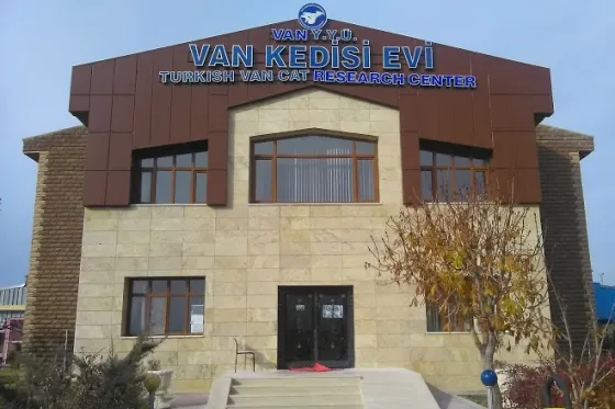 تصویر 82292 خانه گربه های وان