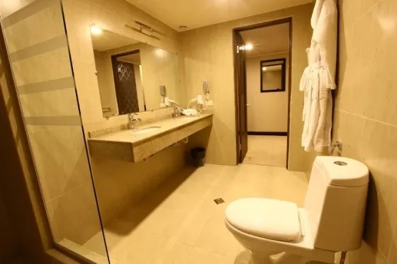 تصویر 198304 فضای اتاق های هتل نایری ایروان 