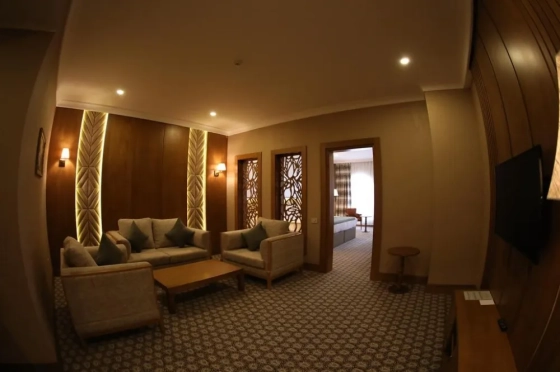 تصویر 83707 فضای اتاق های هتل دیزایر باکو 