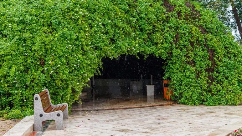 فضای بیرونی هتل فلامینگو کیش 85977