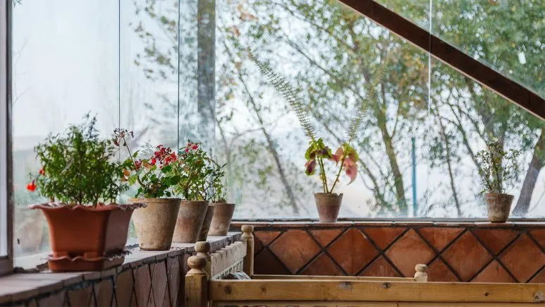 فضای رستورانی و صبحانه هتل ایرانگردی جهانگردی میگون تهران 86839