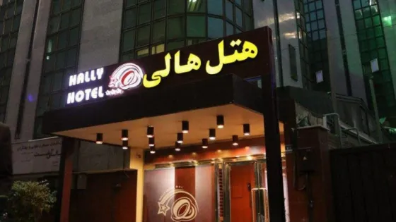 تصویر 96929 نمای بیرونی هتل هالی تهران