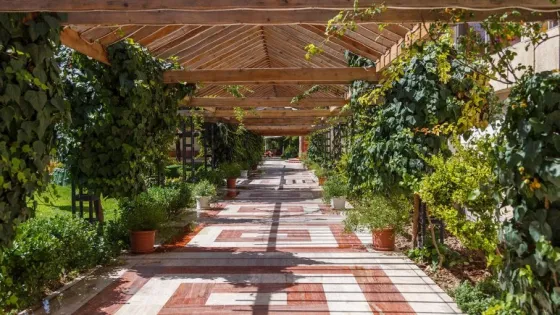 تصویر 86374 هتل هما تهران