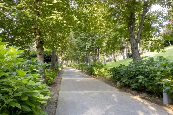 فضای بیرونی هتل سوییس استانبول 6752