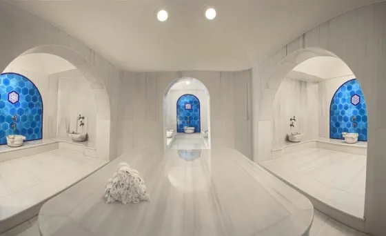 سونا و اسپا هتل مارمارا تکسیم استانبول 6784