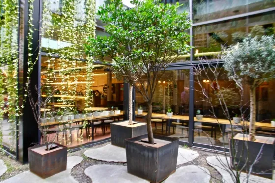 فضای بیرونی هتل آیوتا تفلیس 93469