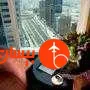 فضای اتاق های هتل رز ریحان بای روتانا - تصویر 21