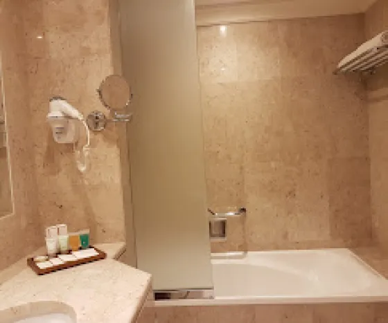 فضای اتاق های هتل دبی مارین بیچ دبی 196537