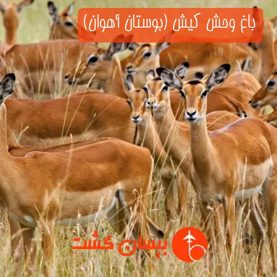 باغ‌ وحش کیش (بوستان آهوان)