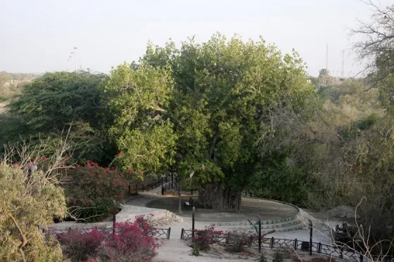 تصویر 90542  دره پرتغالی‌ ها