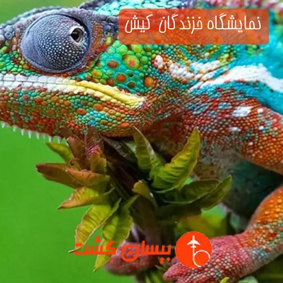 نمایشگاه خزندگان کیش