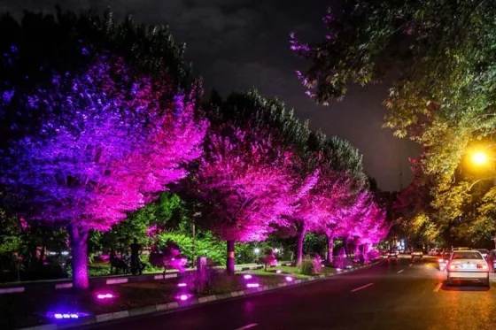 تصویر 90610  بلوار کشاورز 