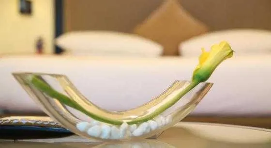 فضای اتاق های هتل مرکور گلد دبی   44300