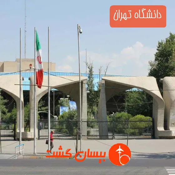 دانشگاه تهران