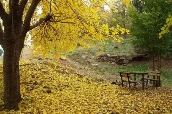 تصویر 90822  پارک ملی سرخه حصار 