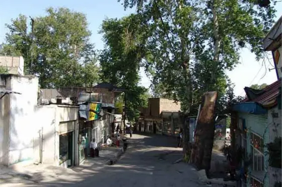 تصویر 90844  روستای فرحزاد