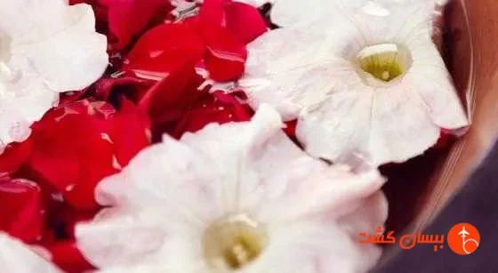 هتل رافلز دبی - تصویر 31