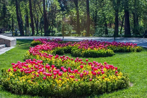 تصویر 90923  پارک شهر  