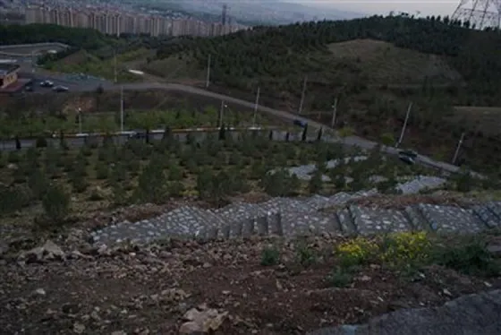 تصویر 90936  بوستان جنگلی کوهسار 