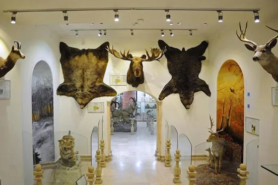 تصویر 90951  موزه طبیعت و حیات وحش دارآباد 