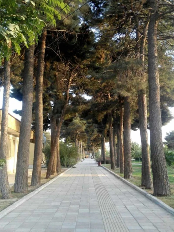 تصویر 90961  پارک یافت آباد تهران 