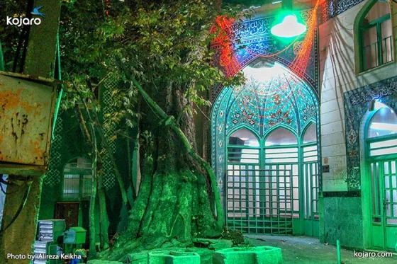 تصویر 90983  درکه 