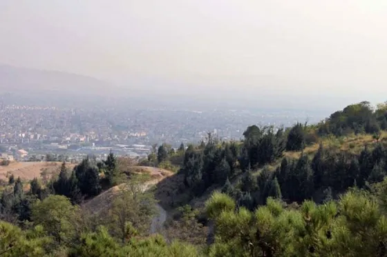 تصویر 91017 پارک لویزان