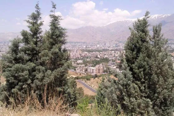 تصویر 91019 پارک لویزان