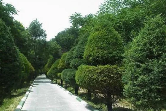 تصویر 91037 پارک قیطریه تهران